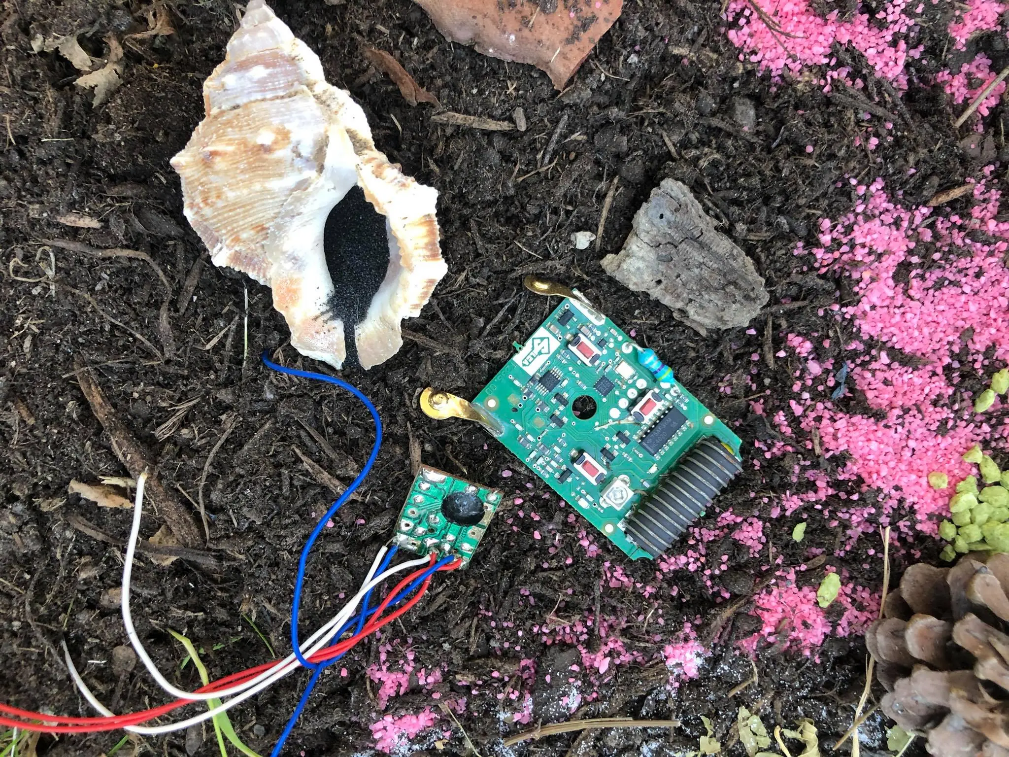 foto di un assemblaggio che mostra elementi naturali come conchiglie e fiori insieme a componenti elettroniche, rappresentando la visione del Chthulucene